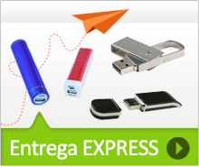 Memorias USB con entrega Express.